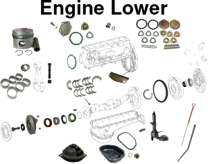 113 Lower Engine Parts